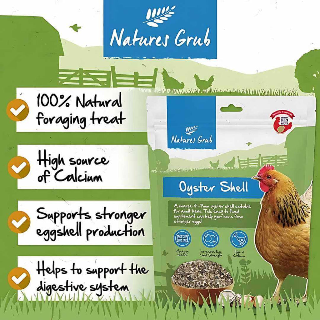 Oyster Shell for Chickens