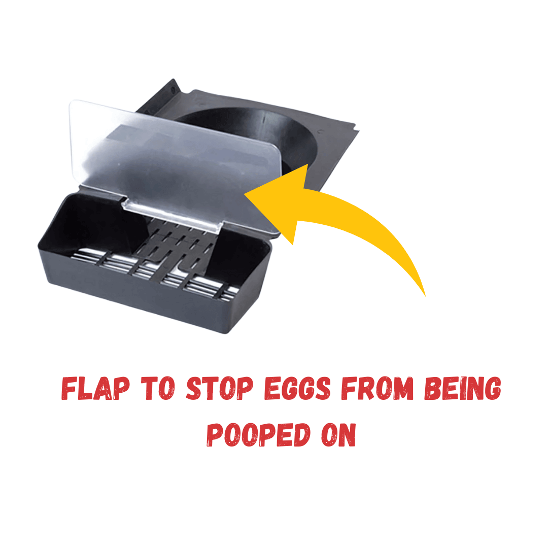 ChickBox Lite Rollaway Nest Box – Purple