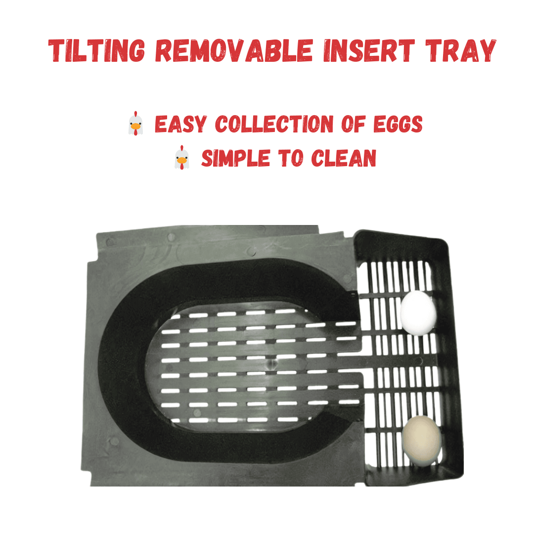 ChickBox Lite Rollaway Nest Box – Purple