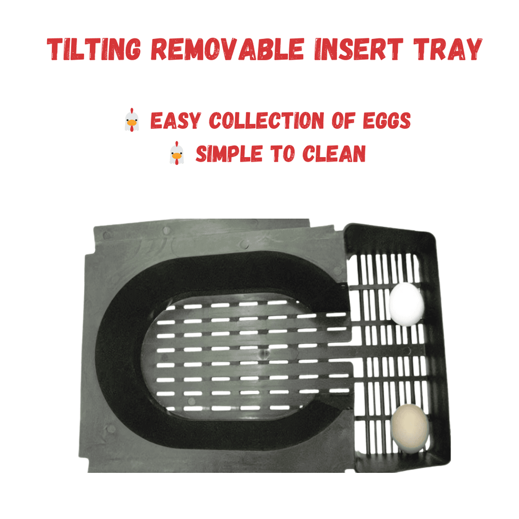 ChickBox Lite Rollaway Nest Box – Green