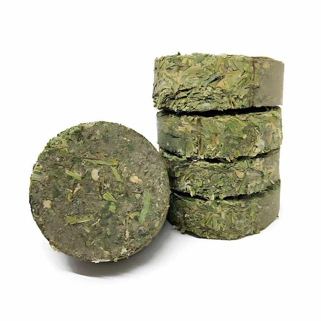 Coop Cookies for Chickens