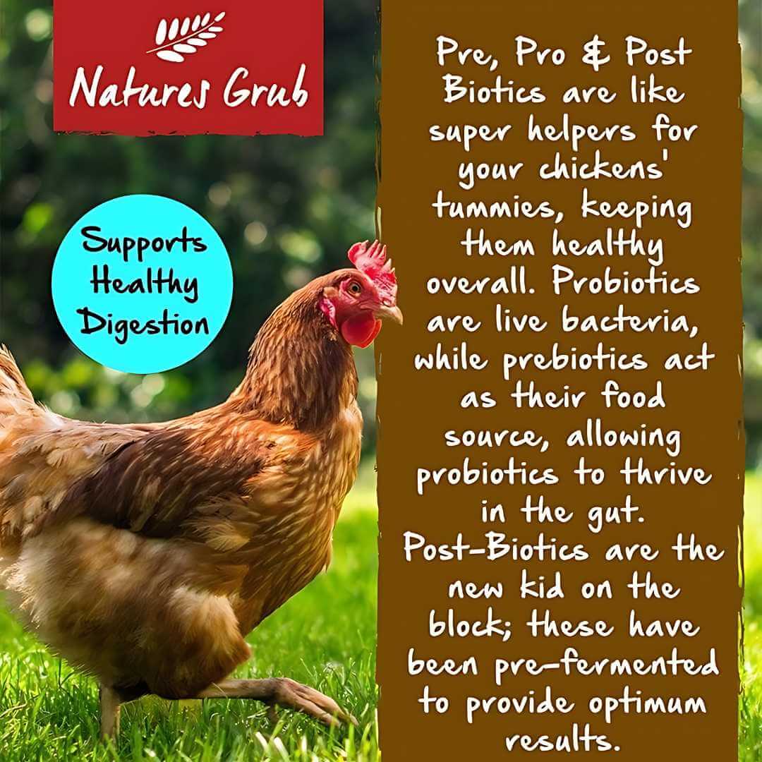 Garlic, Herbs & Seaweed for Chickens