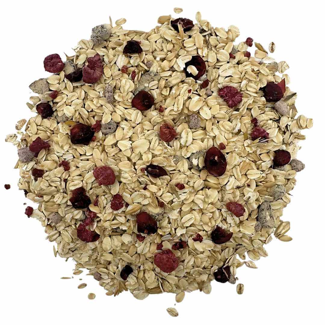 Afternoon Oats for Chickens - Banana &amp; Berry