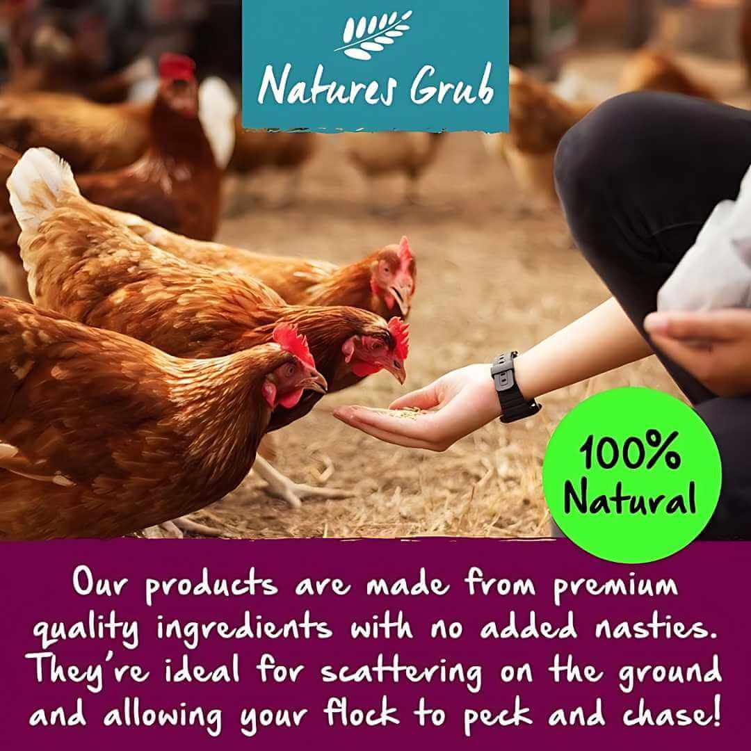 Poultry Boost Pelleted Herbal Tonic for Chickens