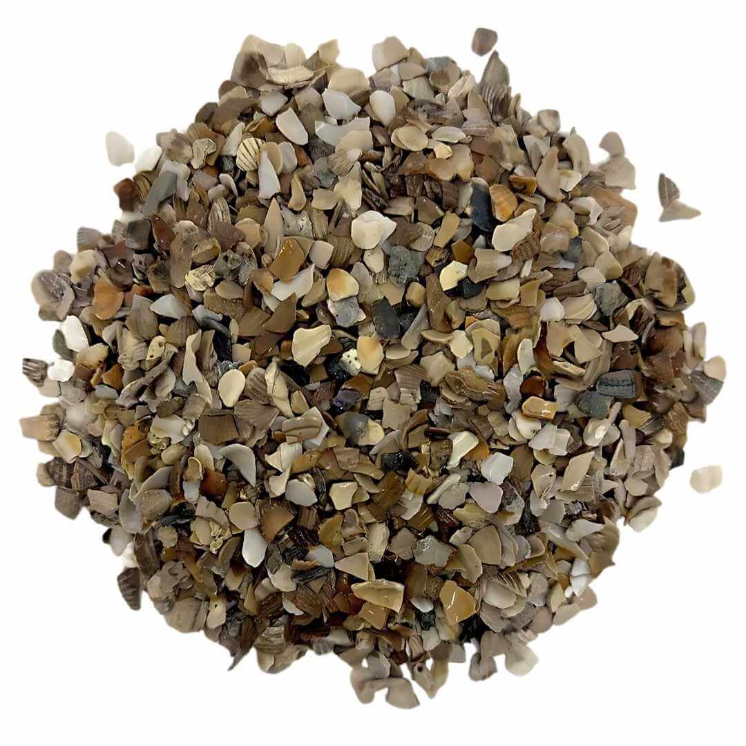 Oyster Shell for Chickens