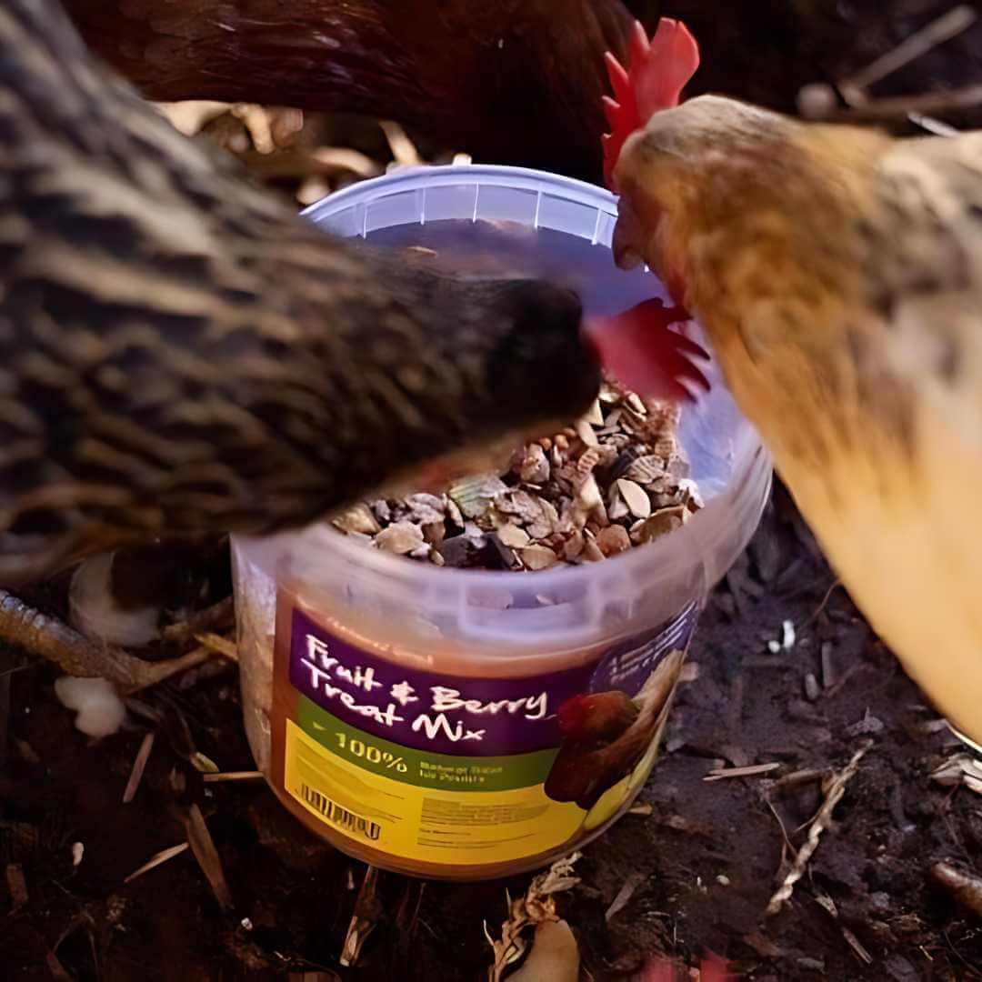 Fruit & Berry Treat Mix