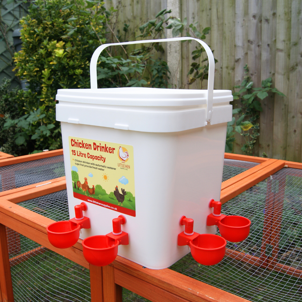 White chicken drinker with red cupson a chicken coop outdoors