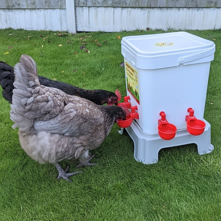 Chicken Drinker – 15L Automatic Poultry Water Dispenser