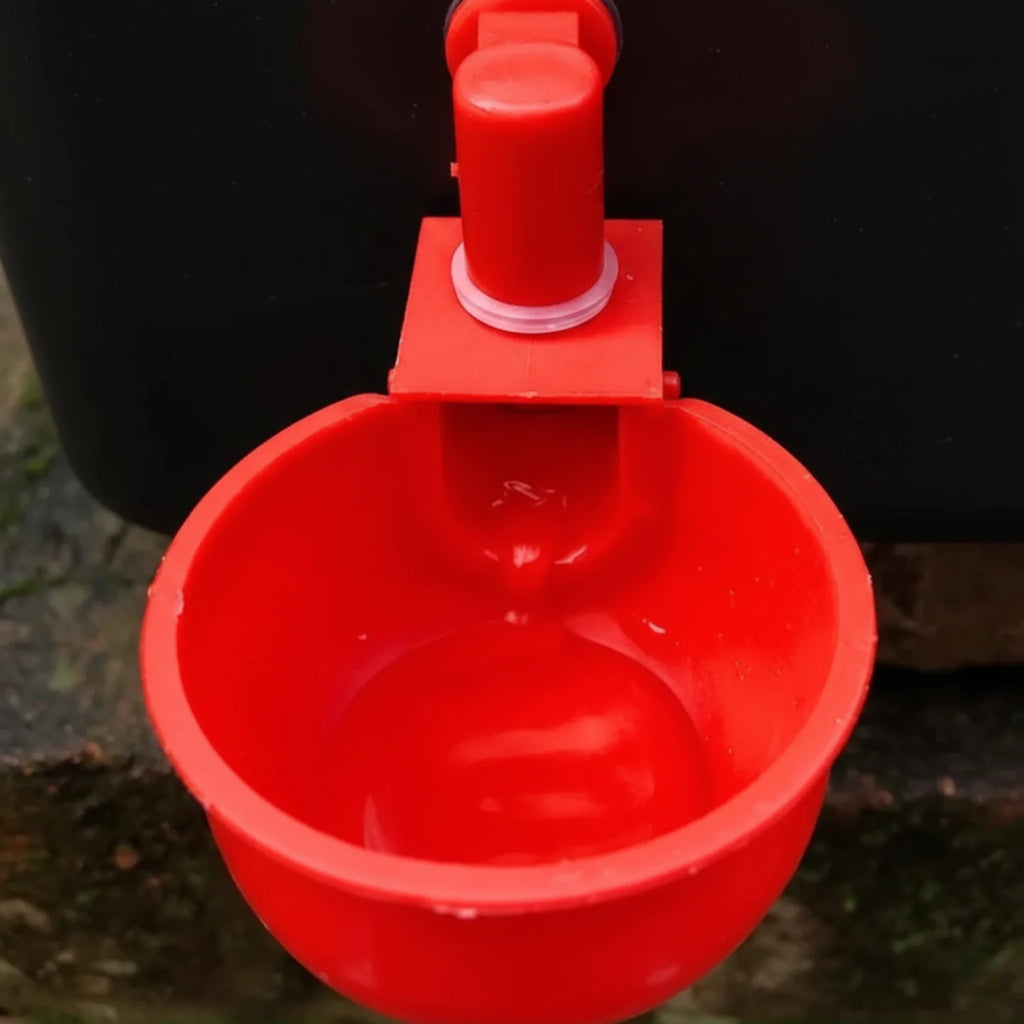 Close-up of a red float-regulated drinking cup showing automatic water refill as chickens drink