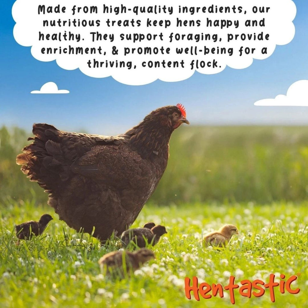 Chicken with chicks in a grassy field with promotional text about high-quality treats for hens.
