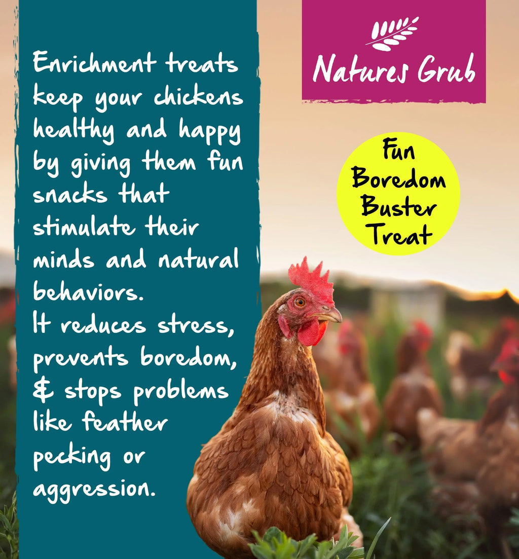 Promotional graphic of a hen with text about enrichment treats reducing stress and boredom
