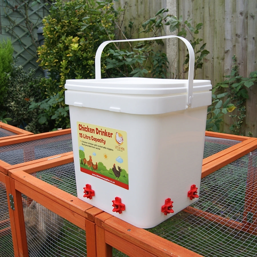 White chicken drinker with red nozzles on a chicken coop