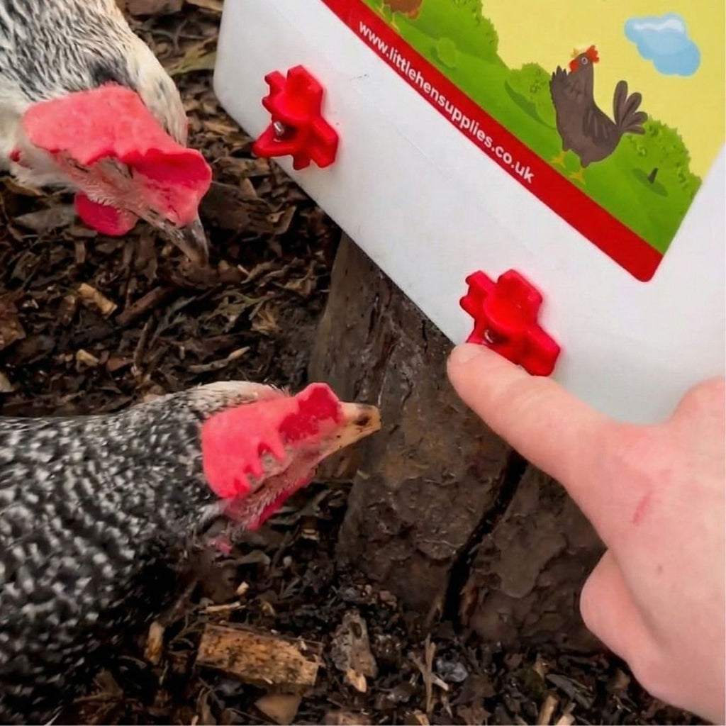 Mega Chicken Drinker – 8 Nipple Water Feeder | 50L Capacity