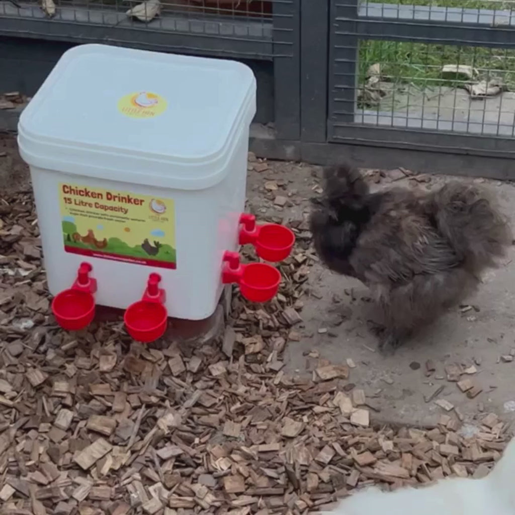 Chicken Drinker – 15L Automatic Poultry Water Dispenser