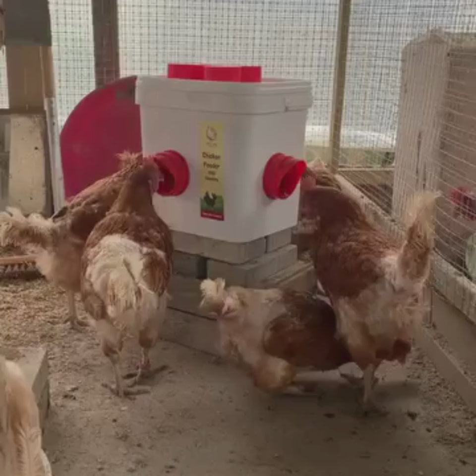 Chicken Feeder - 15KG No Waste Poultry Feeder